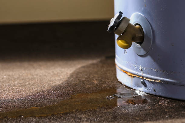 Best 24/7 water damage repair  in Myrtle Grove, NC