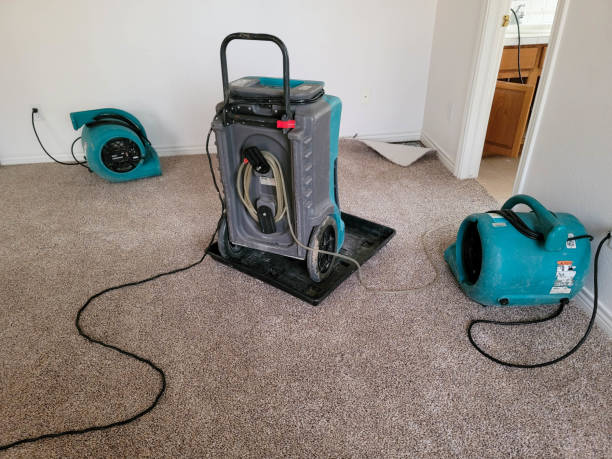 Best Basement water damage restoration  in Myrtle Grove, NC